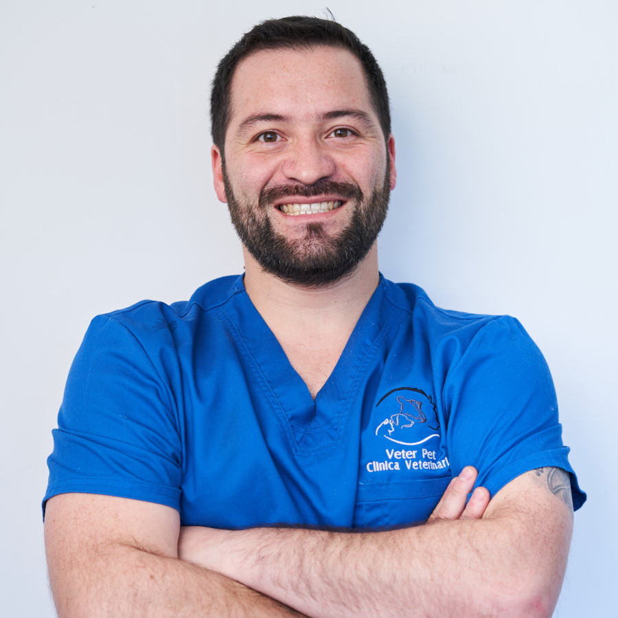 900x900_vet4 Luís Ruíz de Gamboa - especialista felino