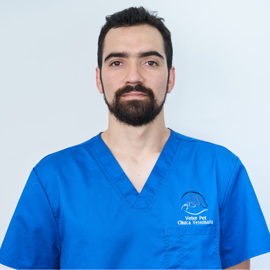 900x900_vet5 Nicolás Oyarzún - cirugía y anestesia