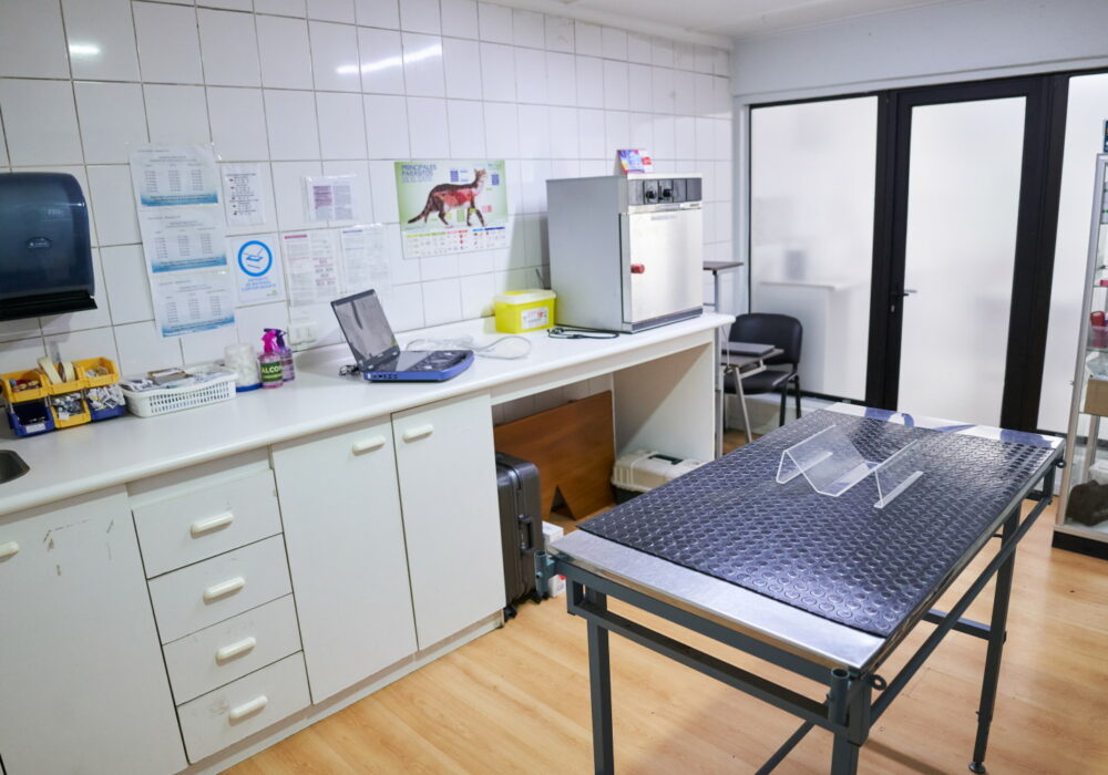 Box de atención veterinaria especializada