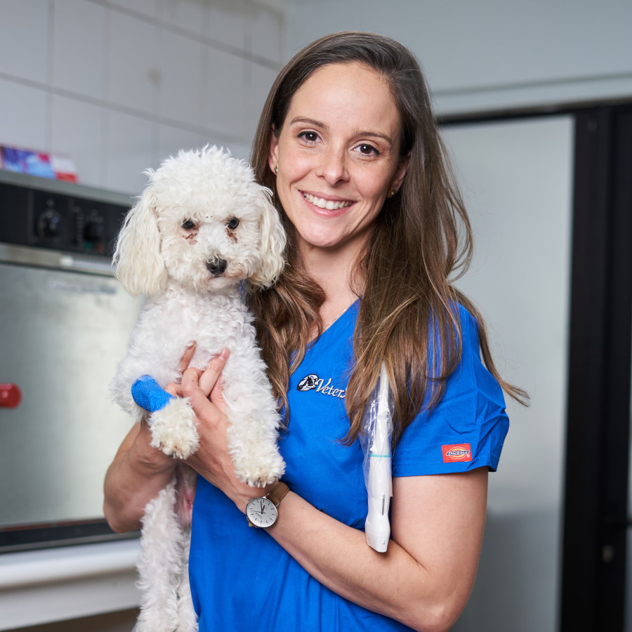 Profesional veterinaria con paciente poodle