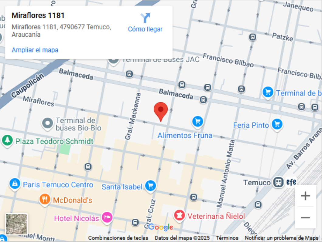 gmapsveterpet Mapa ubicación VeterPet