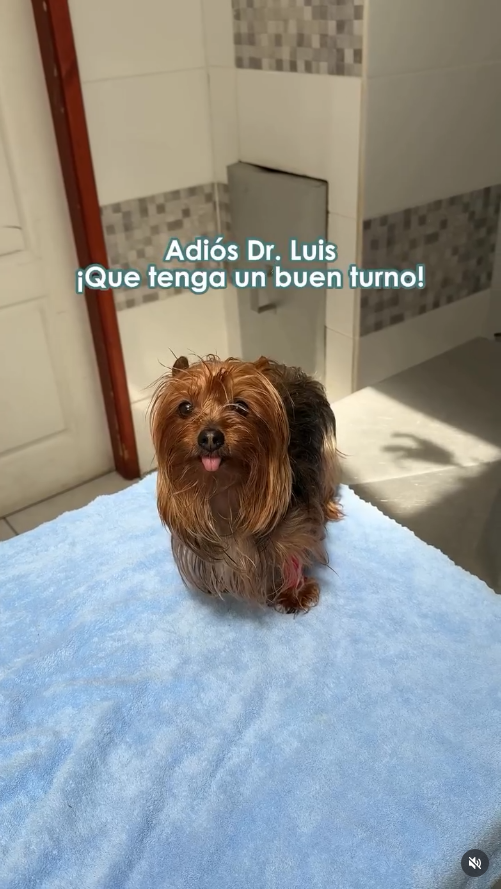 DrLuis_datos_4 Un paciente le desea un buen turno al doctor Luis