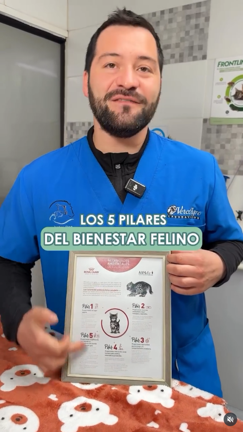 DrLuis_datos_5 Doctor Luis nos enseña los cinco pilares del bienestar felino