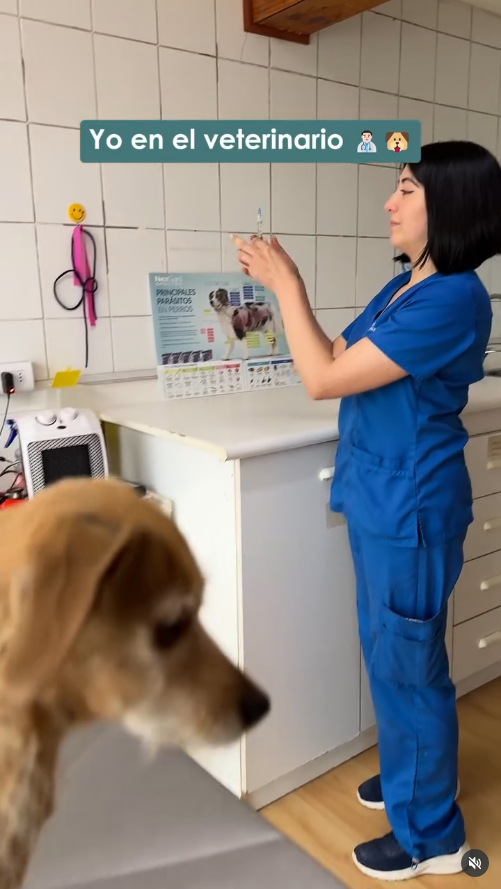 DraCata_consulta Doctora Cata atendiendo a un peludo paciente