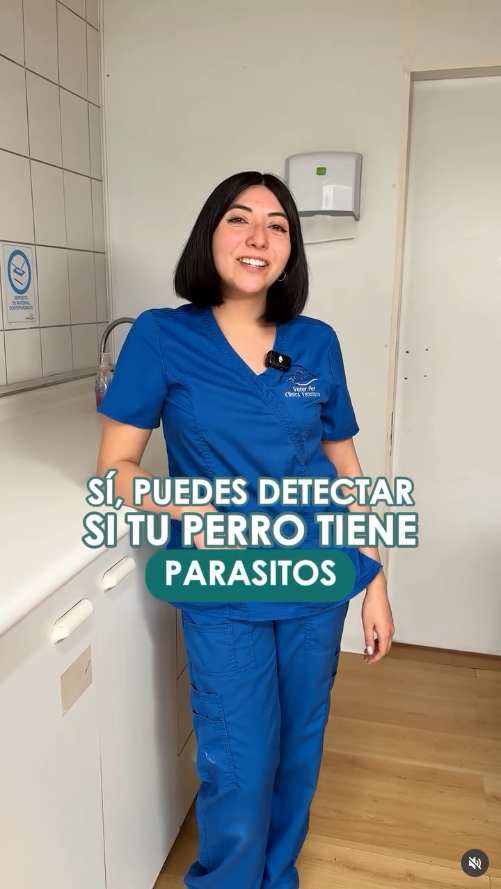 DraCata_deteccion_parasitos Doctora Cata te enseña a detectar si tu pero tiene parásitos