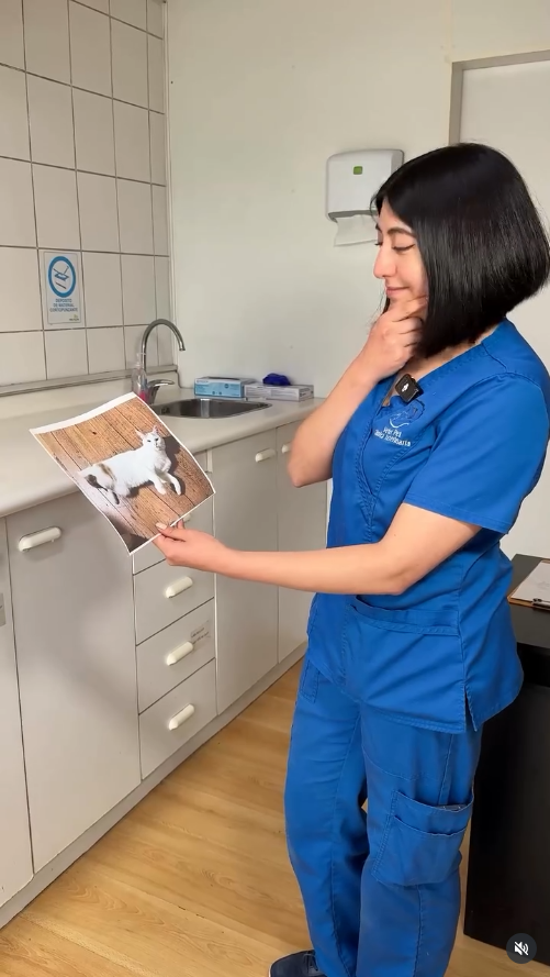 DraCata_diagnostico Doctora Cata te pide que lleves a tu mascota al veterinario en lugar de enviar fotos y preguntar a distancia qué diagnóstico tiene