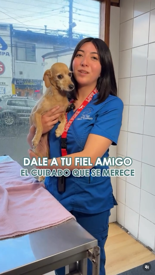 DraCata_mejores_cuidados Doctora Cata te da tips para cuidar mejor de tu mascota