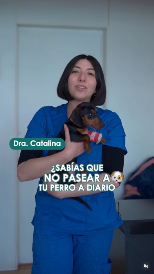 DraCata_paseos Doctora Cata te aconseja sobre paseos para tu mascota