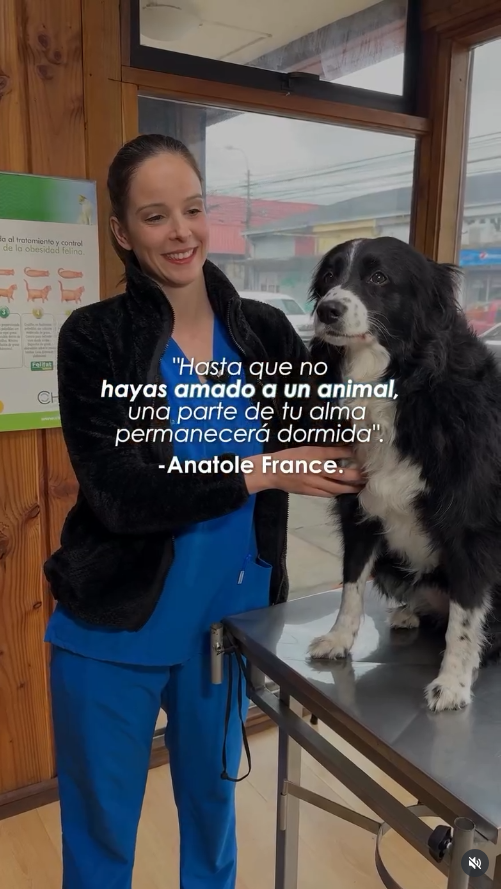 DraSofi_datos_2 Doctora Sofía y mascotas