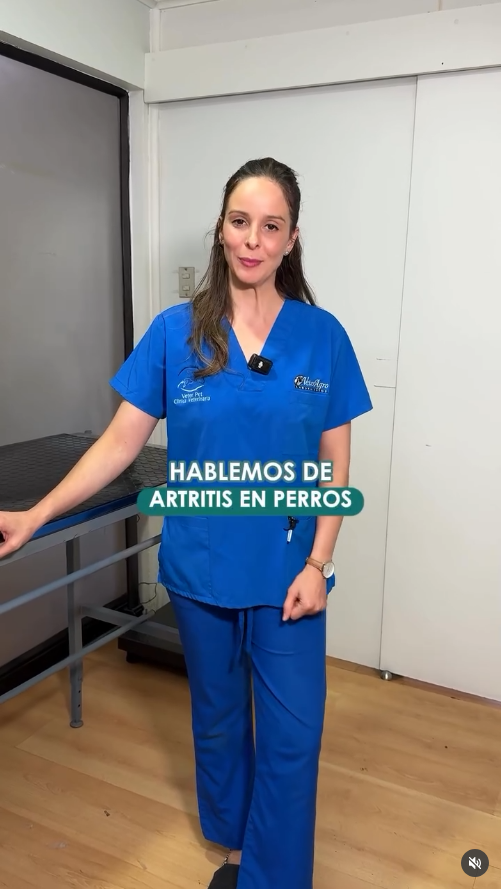 DraSofi_datos_3 Conociendo la artritis en perros