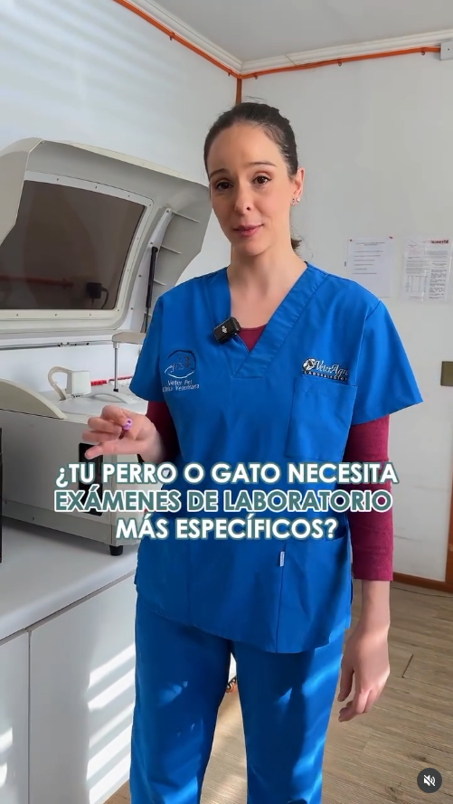 DraSofi_datos_5 Solicita exámenes más específicos para tu mascota