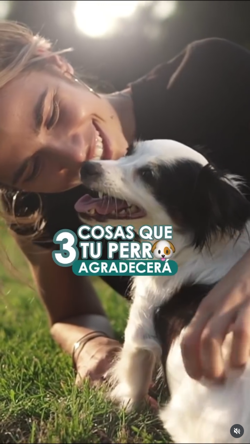 DraVale_datos_1 Doctora Valeria y tres cosas que tu perrito agradecerá