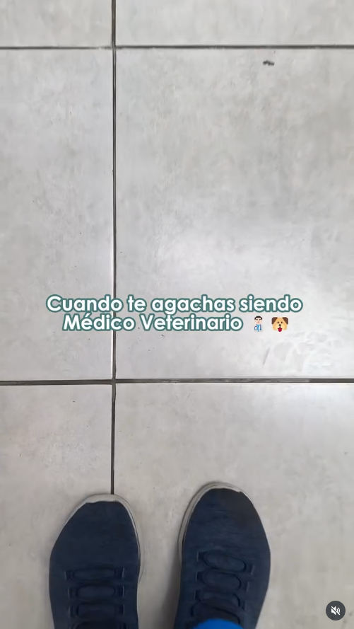 DraVale_datos_2 Problemas comunes al agacharse siendo veterinario